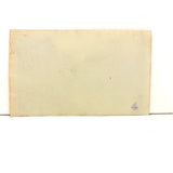 Thickly Atmospheric Open Water Baptism Scene with Curious Third Man in the Brush, 1920s Snapshot