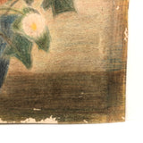 Charming French Vase of Flowers Crayon/Colored Pencil Drawing