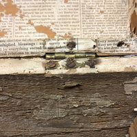 Early-Mid 19th C. Wallpapered Domed Trunk with Fantastic Blue and Newspaper Interior