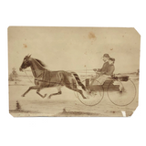 19th C. Cabinet Card Photo by Frank Henry Price with Hand-drawn Horse and Carriage