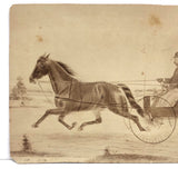 19th C. Cabinet Card Photo by Frank Henry Price with Hand-drawn Horse and Carriage