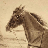 19th C. Cabinet Card Photo by Frank Henry Price with Hand-drawn Horse and Carriage