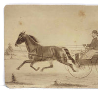 19th C. Cabinet Card Photo by Frank Henry Price with Hand-drawn Horse and Carriage