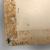 19th C. Cabinet Card Photo by Frank Henry Price with Hand-drawn Horse and Carriage