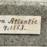 Sand from the Atlantic, 1883: Lovely and Evocative Small Glass Bottle with Delicately Hand-written Label