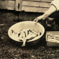 Headless Man with Fish and Cat, Old Snapshot
