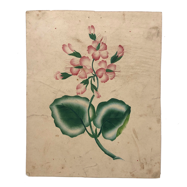 Pink Flowers, 19th C. Theorem Watercolor on Wove