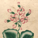Pink Flowers, 19th C. Theorem Watercolor on Wove