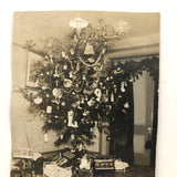 Ceiling Hung Christmas Tree! Antique Snapshot Photo
