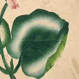 Pink Flowers, 19th C. Theorem Watercolor on Wove