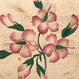 Pink Flowers, 19th C. Theorem Watercolor on Wove