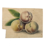 19th C. Sandpaper Theorem Peaches on Card