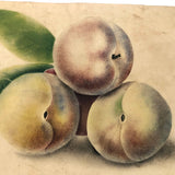 19th C. Sandpaper Theorem Peaches on Card