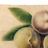 19th C. Sandpaper Theorem Peaches on Card