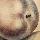 19th C. Sandpaper Theorem Peaches on Card