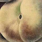 19th C. Sandpaper Theorem Peaches on Card