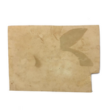 19th C. Sandpaper Theorem Peaches on Card