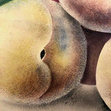 19th C. Sandpaper Theorem Peaches on Card