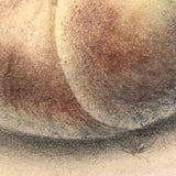 19th C. Sandpaper Theorem Peaches on Card