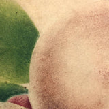 19th C. Sandpaper Theorem Peaches on Card