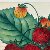 Wilson's Albany Strawberries, 19th Century Hand-Stenciled and Hand-painted Horticultural Salesman Sample Print