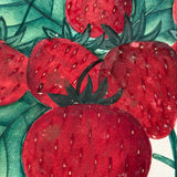 Wilson's Albany Strawberries, 19th Century Hand-Stenciled and Hand-painted Horticultural Salesman Sample Print