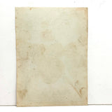 Wilson's Albany Strawberries, 19th Century Hand-Stenciled and Hand-painted Horticultural Salesman Sample Print