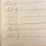 Revenge is Pleasure Only to a Mean Man, Chloe Mann's 1836 Penmanship Notebook