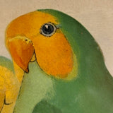 Red-Faced Love Birds (Agapornis pullarius), Regally Framed Alexander Francis Lydon for W.T.Greene Woodblock Engraving, 1884