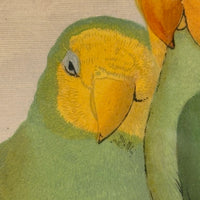 Red-Faced Love Birds (Agapornis pullarius), Regally Framed Alexander Francis Lydon for W.T.Greene Woodblock Engraving, 1884