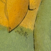 Red-Faced Love Birds (Agapornis pullarius), Regally Framed Alexander Francis Lydon for W.T.Greene Woodblock Engraving, 1884