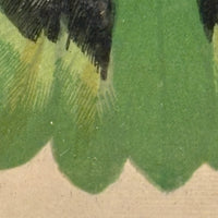 Red-Faced Love Birds (Agapornis pullarius), Regally Framed Alexander Francis Lydon for W.T.Greene Woodblock Engraving, 1884