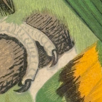 Red-Faced Love Birds (Agapornis pullarius), Regally Framed Alexander Francis Lydon for W.T.Greene Woodblock Engraving, 1884