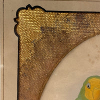 Red-Faced Love Birds (Agapornis pullarius), Regally Framed Alexander Francis Lydon for W.T.Greene Woodblock Engraving, 1884