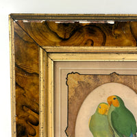 Red-Faced Love Birds (Agapornis pullarius), Regally Framed Alexander Francis Lydon for W.T.Greene Woodblock Engraving, 1884