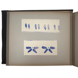 Early 20th Century Froebel Kindergarten Accordion Fold Album: Paper Weaving, Folding, Thread Drawing, More (Copy)