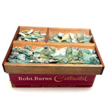 Magical Collection of Ancient Iridescent Glass Shards and Bits