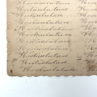 Immortality...Immateriality, Perfectly Poignant 19th Century Penmanship Practice Page