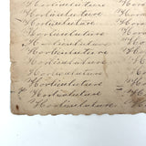 Immortality...Immateriality, Perfectly Poignant 19th Century Penmanship Practice Page