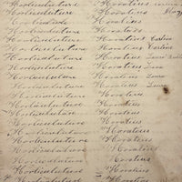 Immortality...Immateriality, Perfectly Poignant 19th Century Penmanship Practice Page
