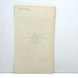 Autumnal Acarus (Harvest Bug), 1790 Hand-colored Shaw & Nodder Copperplate Engraving