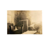 Lonely Doll in Arm Chair, Moody Small Late 19th/Early 20th Interior Photo
