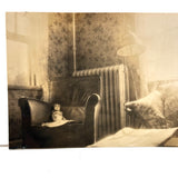 Lonely Doll in Arm Chair, Moody Small Late 19th/Early 20th Interior Photo
