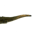 Excellent Old Die-Cast Alligator in Original Paint, Made in the USA