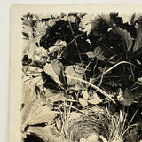 Nest of Speckled Eggs with Strawberries and Clover, Early 20th Century Trimmed RPPC