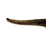 Excellent Old Die-Cast Alligator in Original Paint, Made in the USA