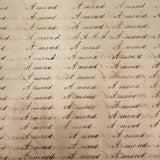 1857 Penmanship Practice Notebook with Unusual Sentences and Poignant Misspellings