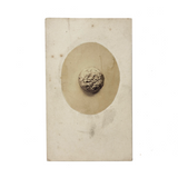 Nicely Mysterious and Very Delicate Feeling Antique Mounted Photo of a Single Silver Button (?)