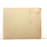 Henry Hickel's Perfect Graphite and Crayon Star, 1913, Lancaster NY