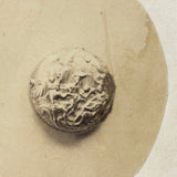 Nicely Mysterious and Very Delicate Feeling Antique Mounted Photo of a Single Silver Button (?)